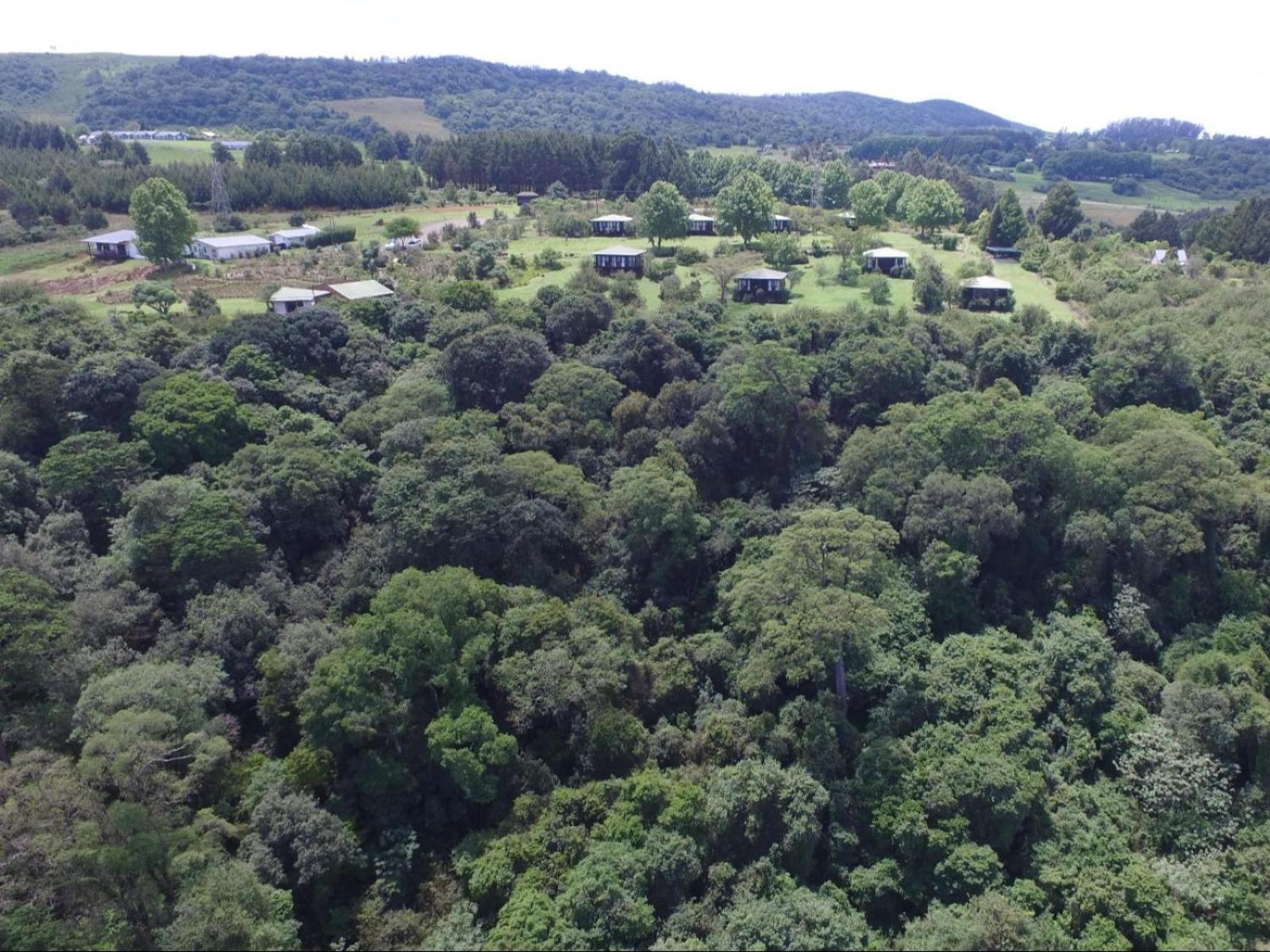Midlands Forest Lodge Balgowan 外观 照片