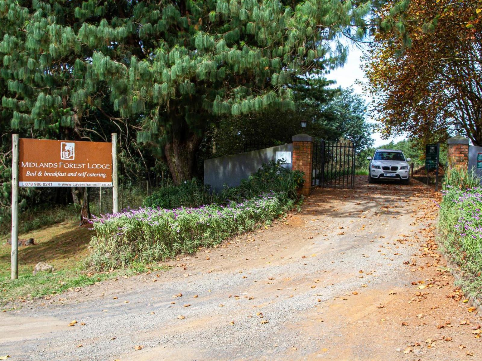 Midlands Forest Lodge Balgowan 外观 照片